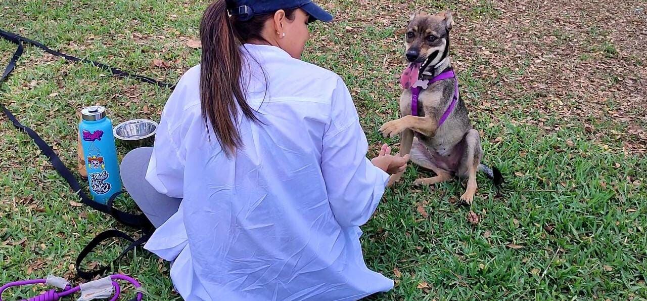 Nathaly Arroba practica con su mascota Trufa comandos básicos de obediencia canina. 