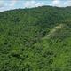 Alemania y Ecuador suscribieron acuerdo financiero por más de $ 25 millones  para reducir emisiones derivadas de la deforestación