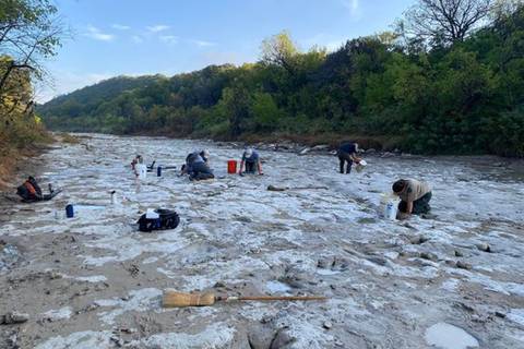 Sequía deja al descubierto huellas de dinosaurios en un parque de Texas