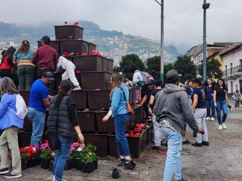 Proyecto para impulsar turismo en el centro de Quito tiene a los geranios como imán de atracción