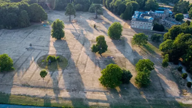 Las impresiones en el suelo muestran jardines antiguos en Lydiard Park. PHIL JEFFERIES