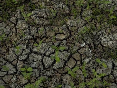 Analistas alertan sobre escasez de agua en América Latina