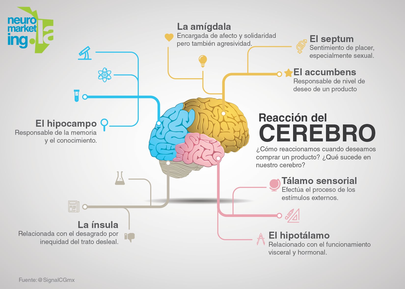 Infografía tomada del Neuromarketin.la