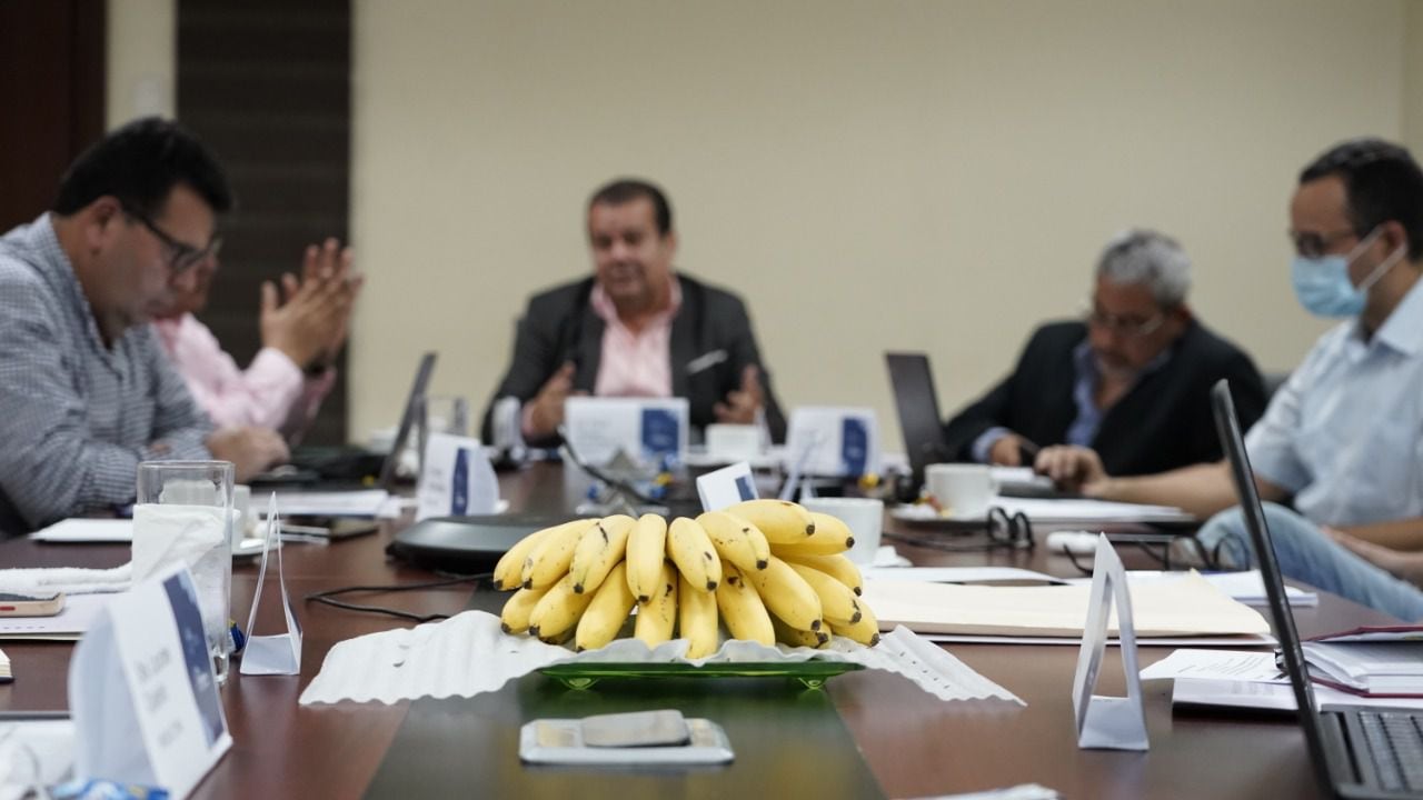 Productores y exportadores bananeros acordaron en $ 6,50 el precio de exportación de la caja de banano