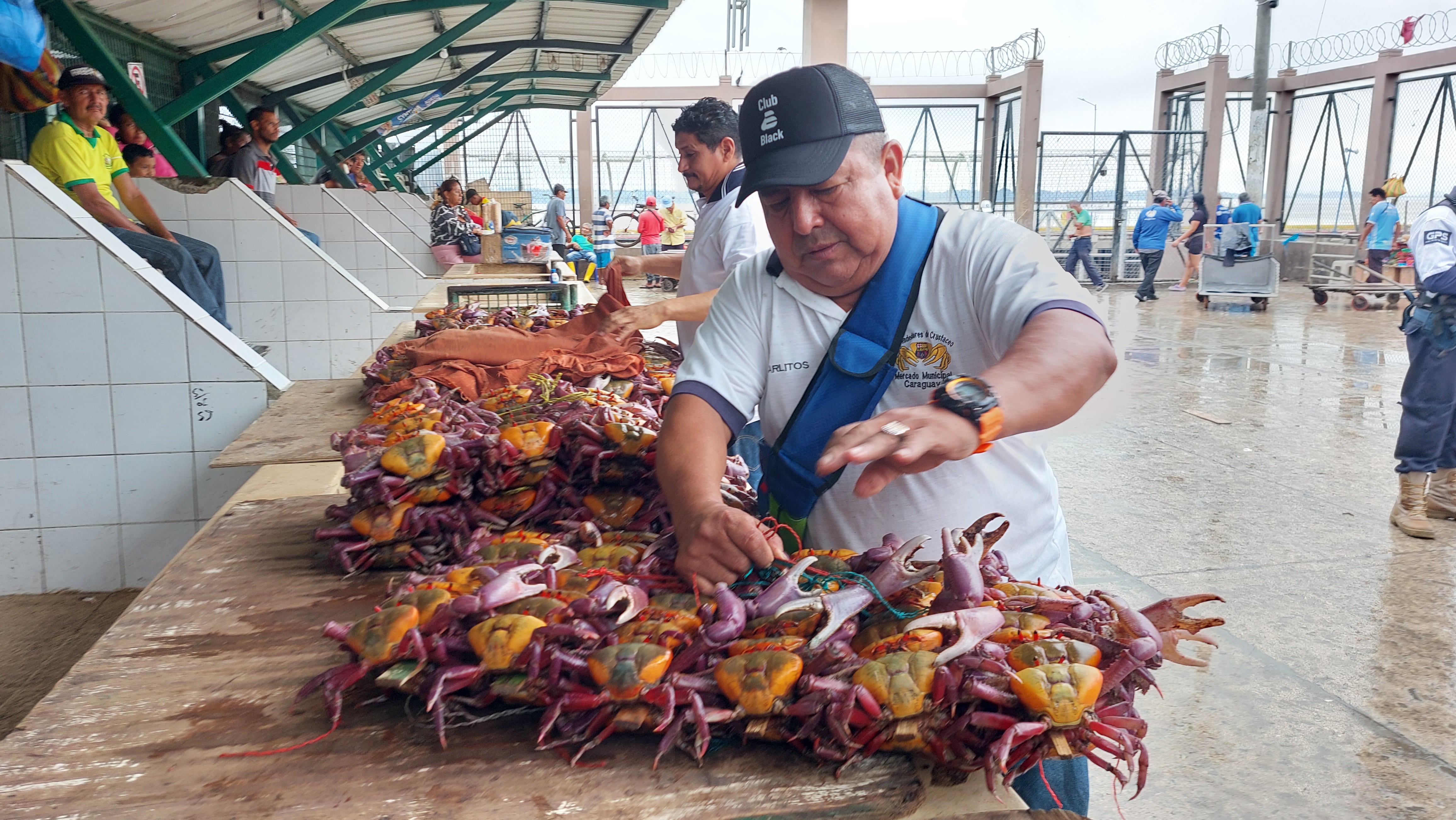 Los cangrejos vuelven a la Caraguay con precios que van desde $ 15 el atado