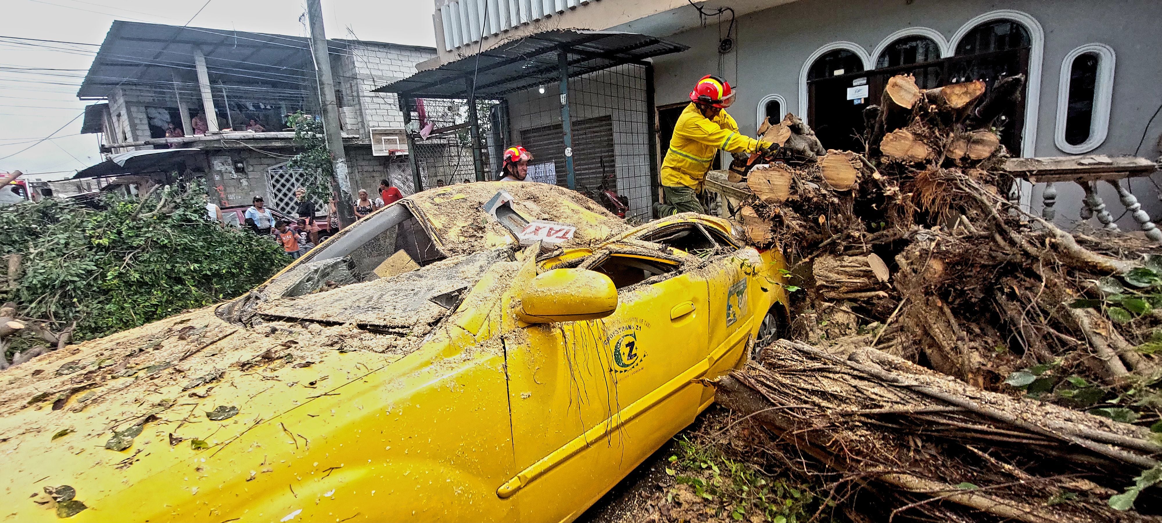Un árbol cayó sobre un taxi en el suburbio de Guayaquil; otro obstaculizó la vía a la costa