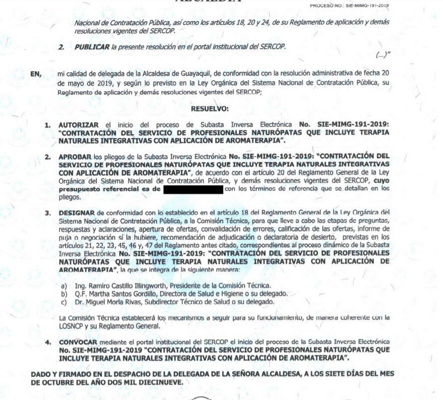 El inicio del proceso de subasta inversa, efectuado por delegada de la Alcaldesa de Guayaquil. Foto: Captura de pantalla de documento que está en portal del Sercop.
