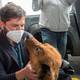 ¿Quién es el “Primer Perro de la República”?, la mascota del presidente de Chile que vela por el cuidado animal en redes sociales 