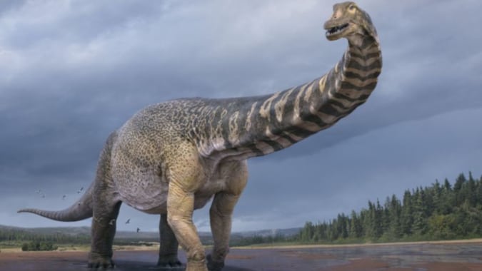 Australotitan, el dinosaurio gigante de 70 toneladas descubierto en Australia