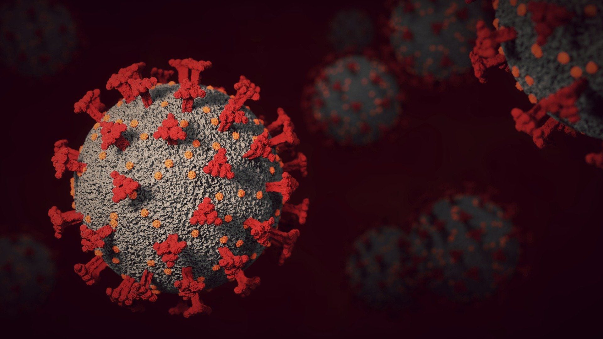 Cuáles son los síntomas de Arcturus, la variante de coronavirus XBB.1.16 detectada en Ecuador