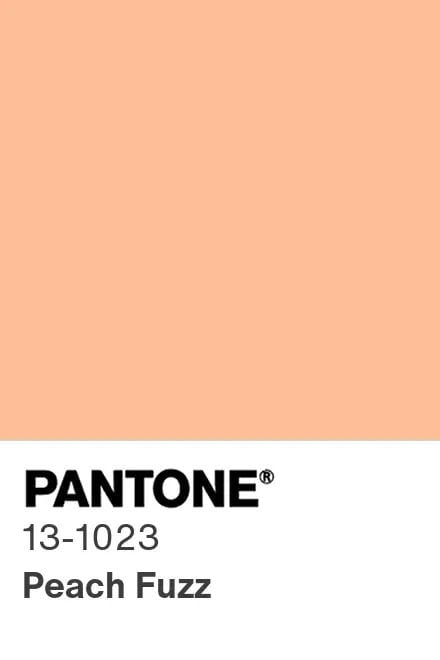 Peach Fuzz, el color del año 2024 de Pantone.