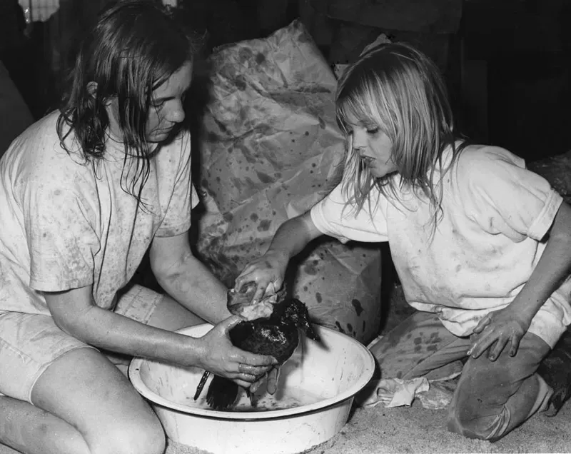 El detonador fue un desastre. (Voluntarias limpiando un pato en California, víctima del choque de enero 1971 que derramó 800.000 galones de petróleo). Getty Images