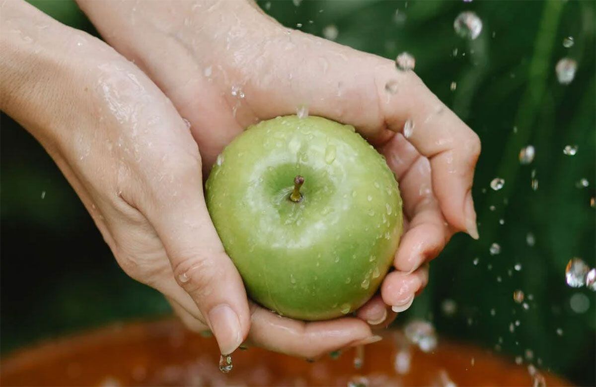 Considere incorporar las manzana a su plan alimenticio, pero no basar su dieta únicamente en esta fruta. Foto: Pexels.