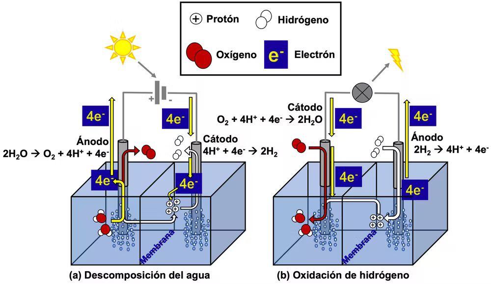 Ilustración 1. Esquemas sencillos de celda electrolítica (a) y de pila de combustible (b). Chiara Biz, Author provided (no reuse)