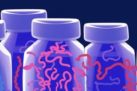 Una de cada cinco bacterias puede emplearse en eliminar plástico, según investigación
