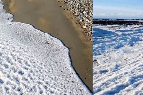 Olas del mar se congelan en Tierra del Fuego por frío extremo en Argentina