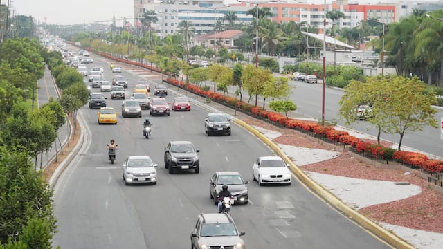 En mantenimiento de áreas verdes de La Puntilla se destinarán $ 1,7 millones