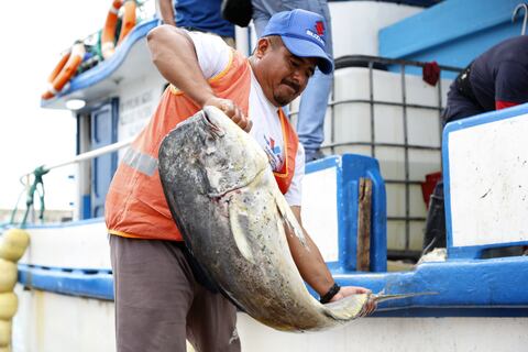 Pesca de dorado avanza en proceso para conseguir la certificación Marine Stewardship Council 
