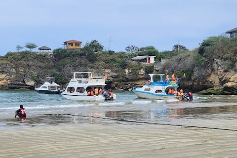 Con festival se inicia avistamiento de ballenas jorobadas en Ayangue, provincia de Santa Elena