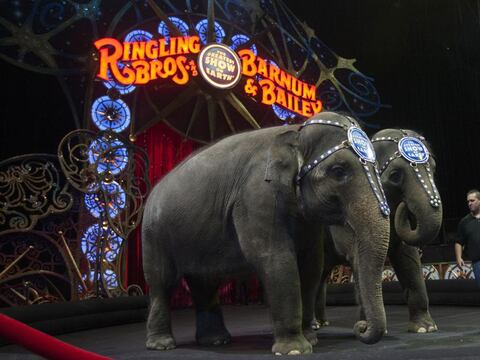 Elefantes actúan por última vez en el circo Ringling Bros
