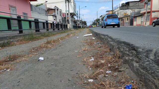 Troncal 4 de la Metrovía: contrato para trabajos relacionados con el recorrido está en fase de adjudicación