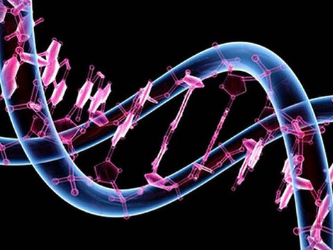 Estudio sobre el genoma releva mutaciones asociadas a enfermedades