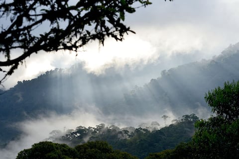 WWF Ecuador expresa preocupación por la inseguridad dentro de áreas protegidas del país