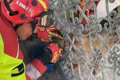 Mordelón fue rescatado por los bomberos de una reja, en Amaguaña