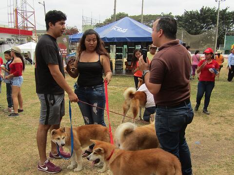 La protección a las mascotas se visibiliza más en Guayaquil