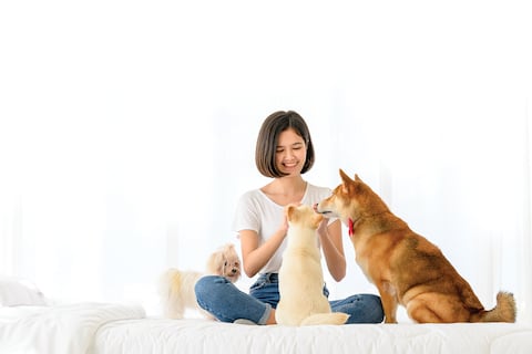 Beneficios de tener mascotas en el hogar