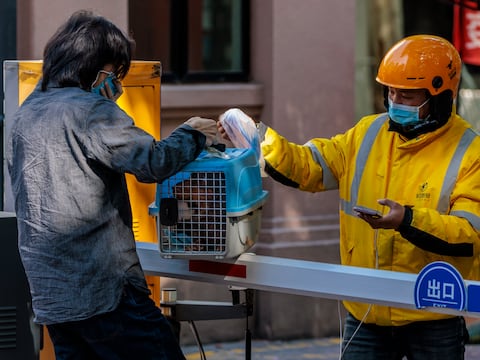 Voluntarios tratan de salvar a mascotas encerradas por confinamiento en Shanghái