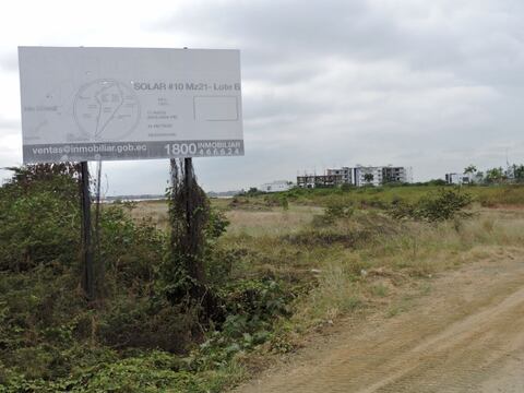 Desde lote en isla Mocolí hasta oficinas se subastarán en Guayaquil y Quito