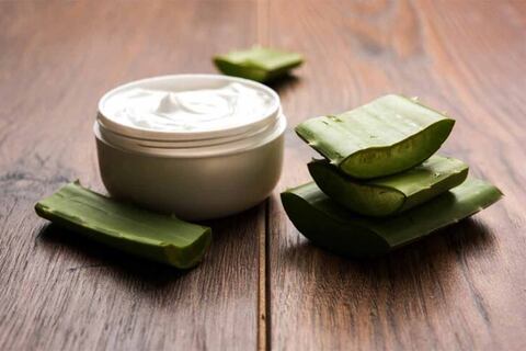 Dermatólogos opinan sobre la efectividad del aloe vera como tratamiento para la piel ¿Es mejor comprarlo o cultivarlo?