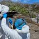 Tres aves en Galápagos dieron positivo de forma preliminar a influenza aviar H5N1 