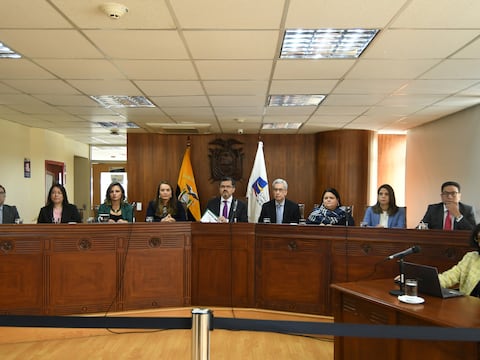 Hernán Ulloa acusa a la Asamblea y a Sofía Almeida de pretender que se sancione a los vocales de Participación Ciudadana por no elegir al presidente de la Judicatura