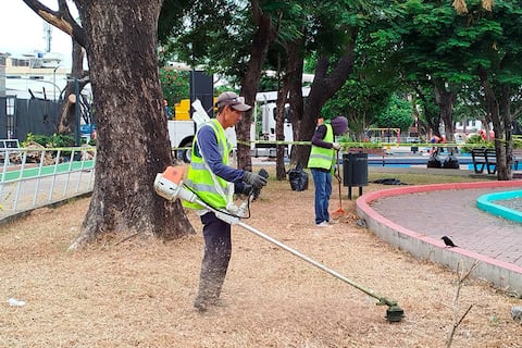 Retiran árboles en estado necrótico que permanecían en el parque Clemente Yerovi
