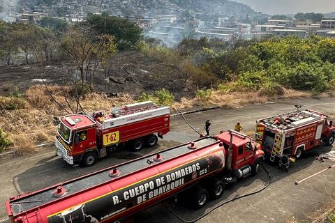 Luego de tres horas, bomberos controlaron incendio forestal en el norte de Guayaquil