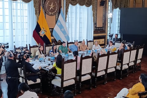 Concejo aprueba en primer debate la extensión de plazo para la regularización de rejas en Guayaquil
