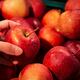 ¿Cuál es la razón por la cual no se recomienda comer frutas en ayunas ni en la noche? Endocrinólogo detalla los principales motivos