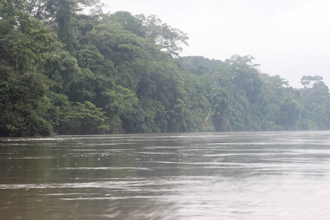 Provincias de la Amazonía de Ecuador tendrán lluvias intensas entre el 11 y 14 de julio