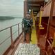 Buque mercante trasladaba saco de yute con 44 kilos de cocaína, en Guayaquil