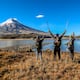 Niels Olsen: Ecuador se convierte en uno de los países de Latinoamérica con mayores incentivos a las inversiones en turismo