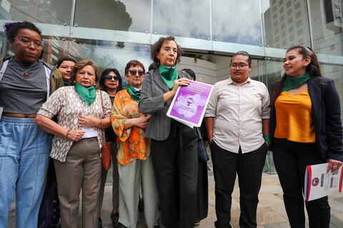 Colectivos presentaron nueva demanda para la despenalización del aborto en Ecuador