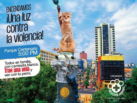 Marcha por los animales y el planeta este sábado en Guayaquil