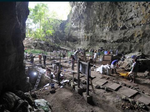 Fósiles hallados en Filipinas corresponden a nueva especie humana, según estudio