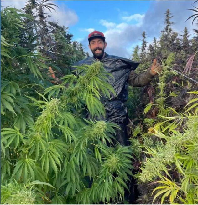 Pablo Clementi durante su estancia en la granja donde trabajaba cultivando marihuana. (Foto: Todo Noticias).