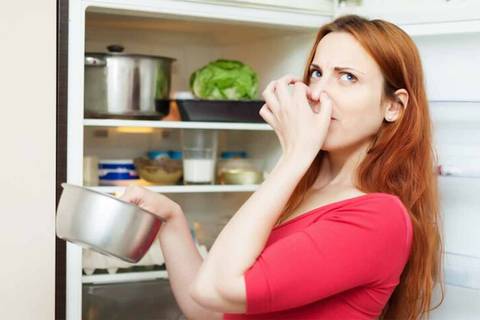 ¿Cuánto tiempo duran en la nevera los alimentos cocidos antes de descomponerse? Si eres de los que cocina para toda la semana, esto te interesa