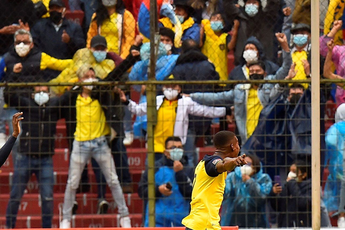 Félix Torres (abajo a la derecha) celebrando el gol del empate ante Brasil, que dejó a Ecuador muy cerca de clasificar al Mundial de Catar.